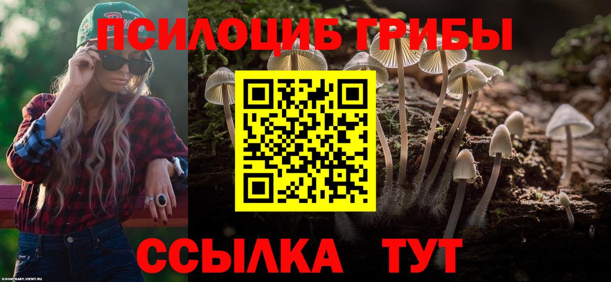 Дагестанские Огни  Псилоцибиновые грибы Psilocybine cubensis  Вход с VPN 